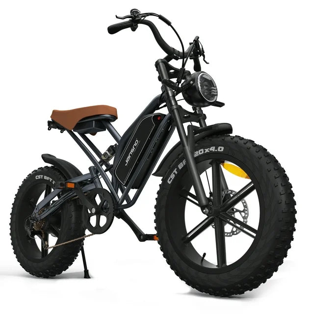 Arnahaishe 20" 4.0 Fat Tire Electric Bike for Adults, 750W Adults E Bike, 48V 14Ah Removable Li-Ion Battery, Professional 7-Speed, Electric Mountain Bicycle Beach Bike Snow Bike Ebike for Men