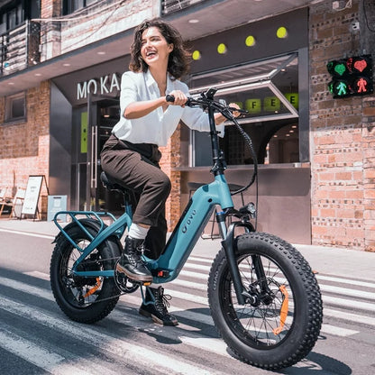 DYU 20" 4.0 Fat Tire Electric Bike for Adults, 500W 48V 14AH, LG Battery, Shimano 7-Speed, Foldable E Bike