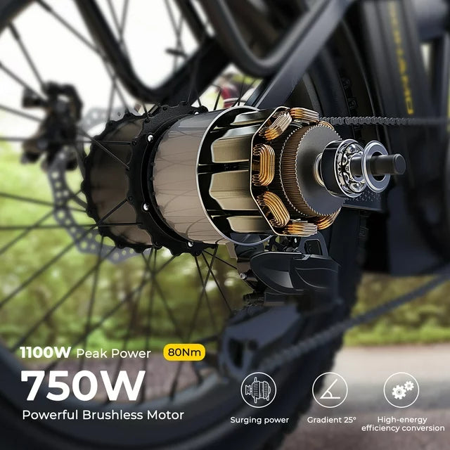 SOHAMO H3 Electric Bike for Adults 20" Fat Tire Folding Ebike, 750W Motor, 48V 15Ah Removable Battery, Front Suspension, Shimano 7 Speed Mountain Bike