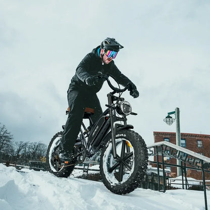 Arnahaishe 20" 4.0 Fat Tire Electric Bike for Adults, 750W Adults E Bike, 48V 14Ah Removable Li-Ion Battery, Professional 7-Speed, Electric Mountain Bicycle Beach Bike Snow Bike Ebike for Men